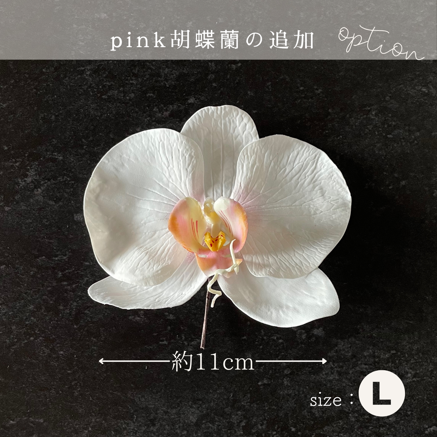 【追加オプション】ピンク胡蝶蘭L 1輪