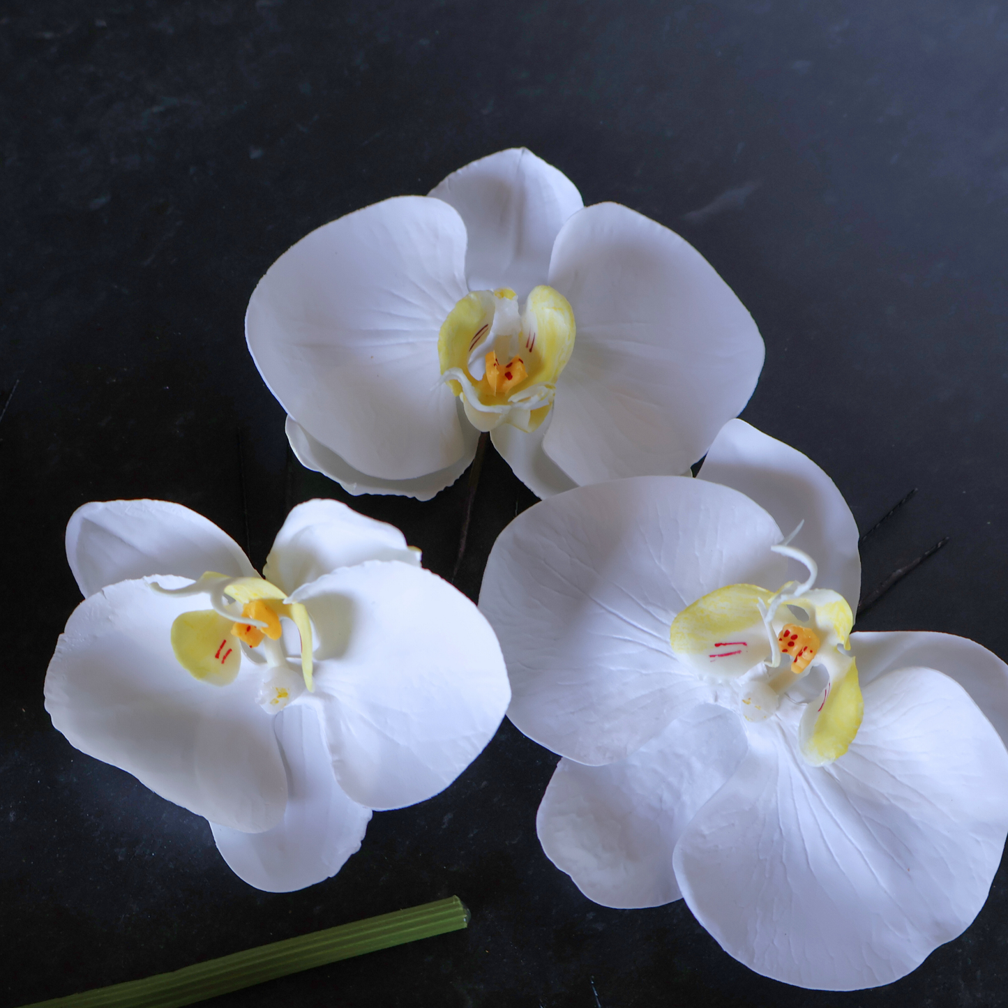 【S-62】オーダー専用