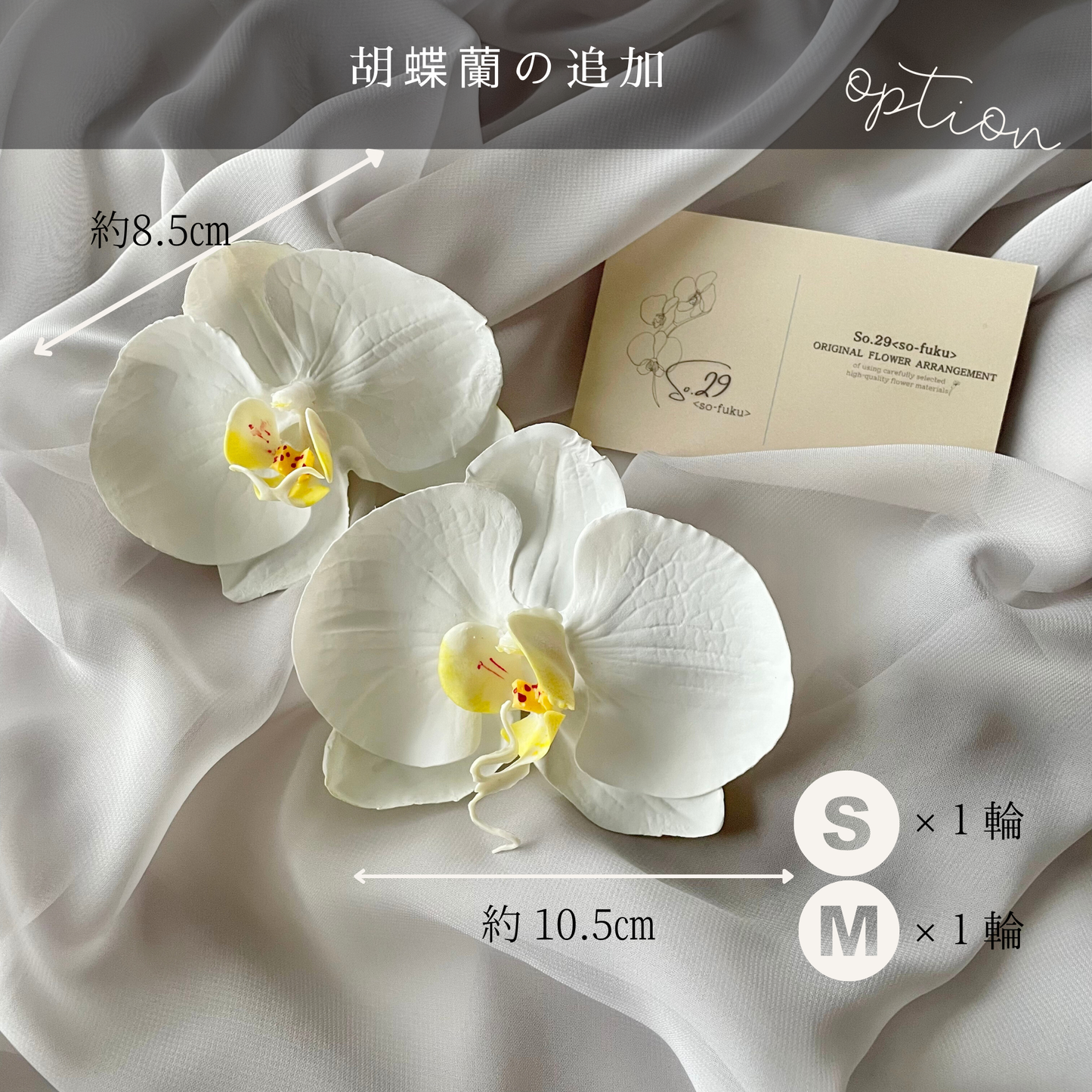 【追加オプション】胡蝶蘭S 1輪&M 1輪