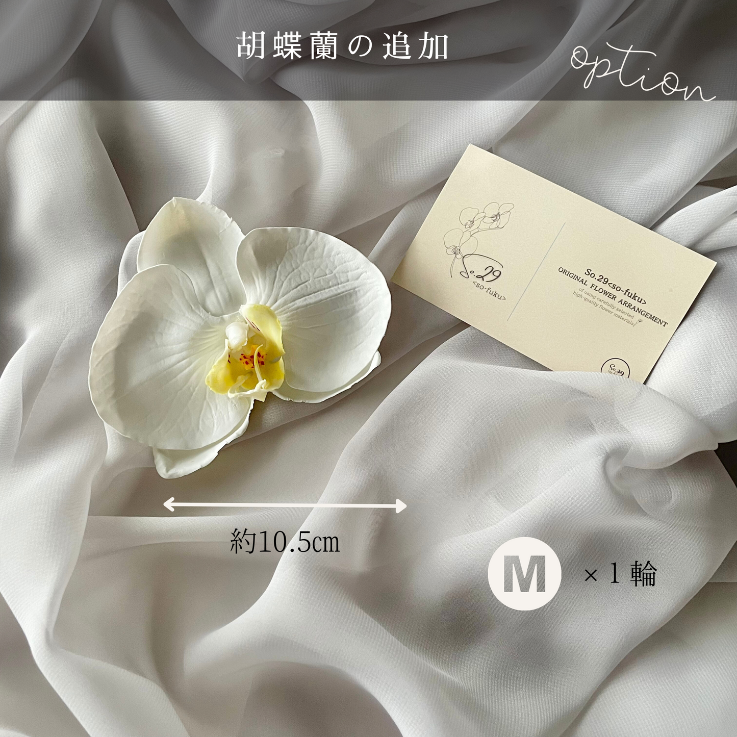 【追加オプション】胡蝶蘭M 1輪