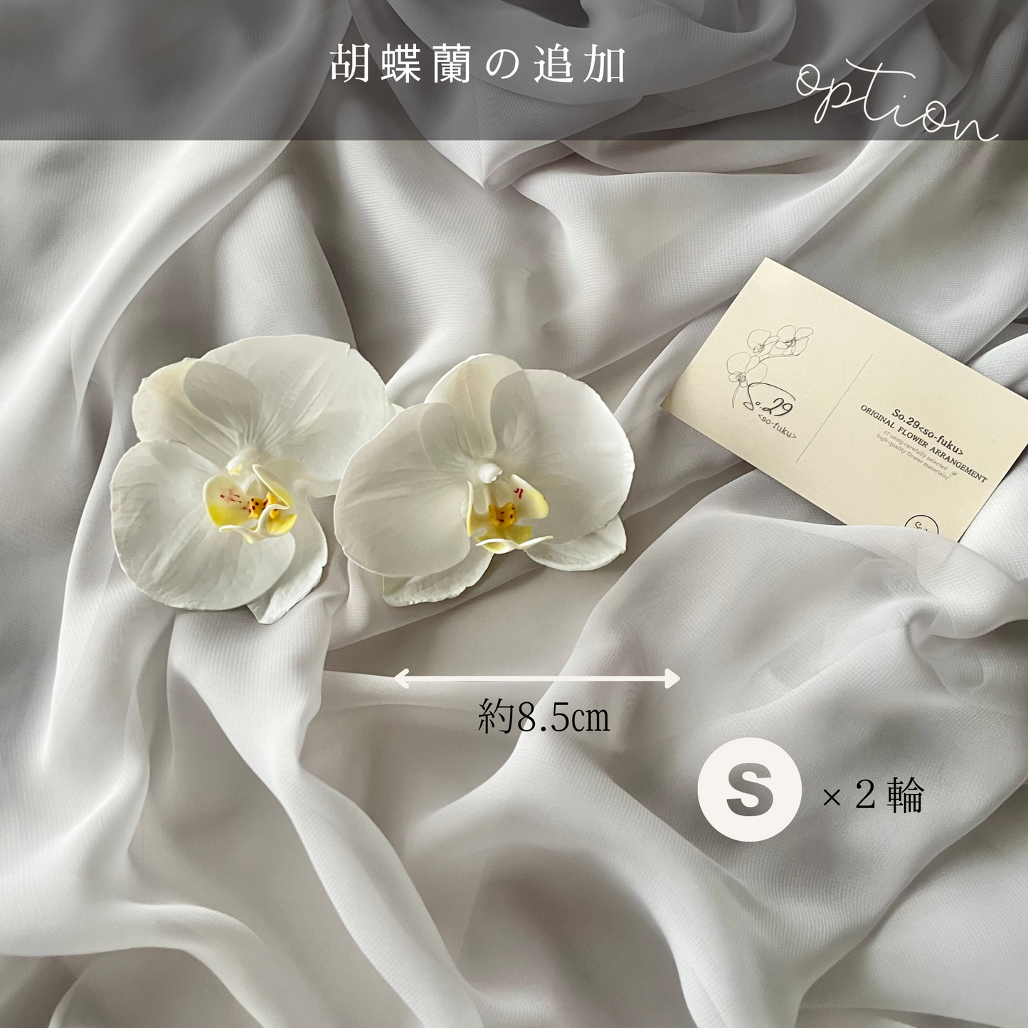 【追加オプション】胡蝶蘭S 2輪