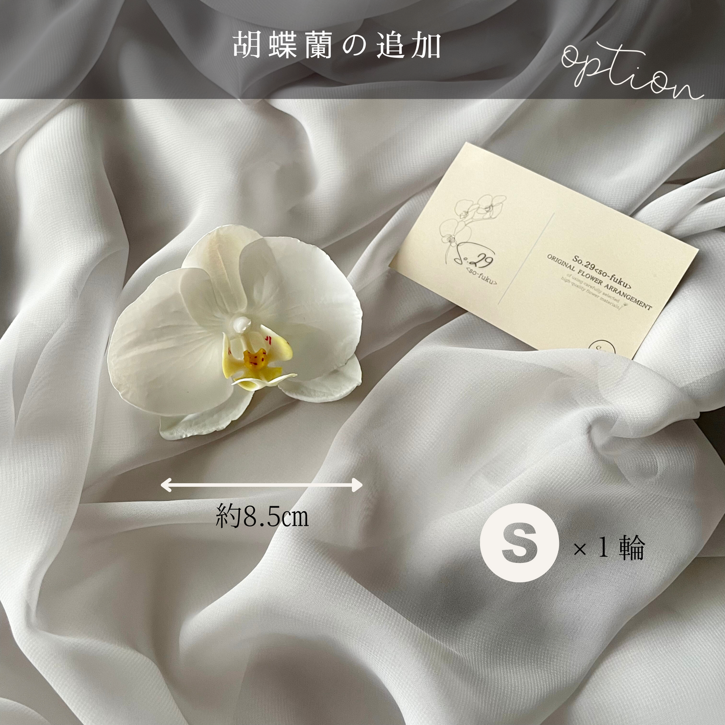 【追加オプション】胡蝶蘭S 1輪