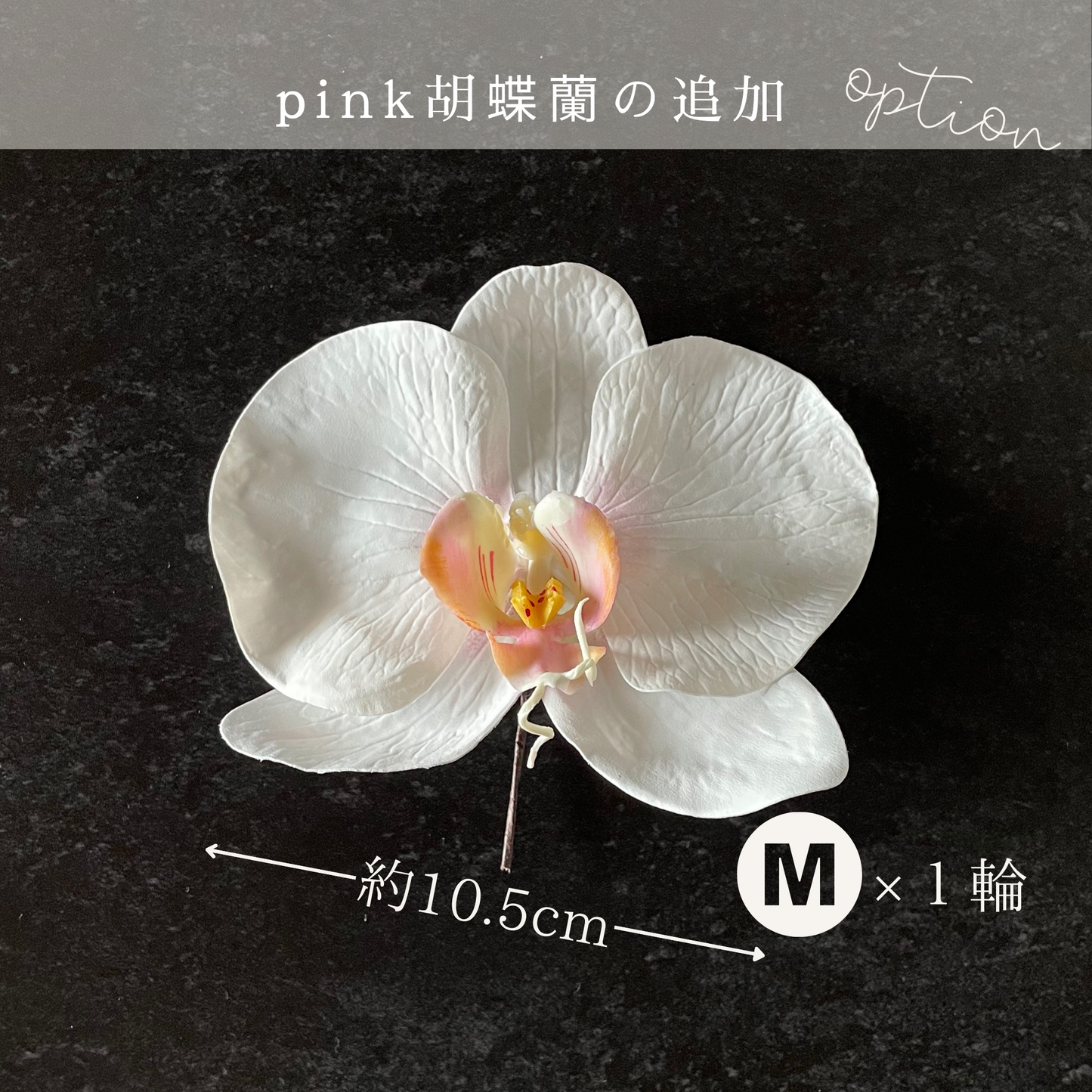 【追加オプション】ピンク胡蝶蘭M 1輪