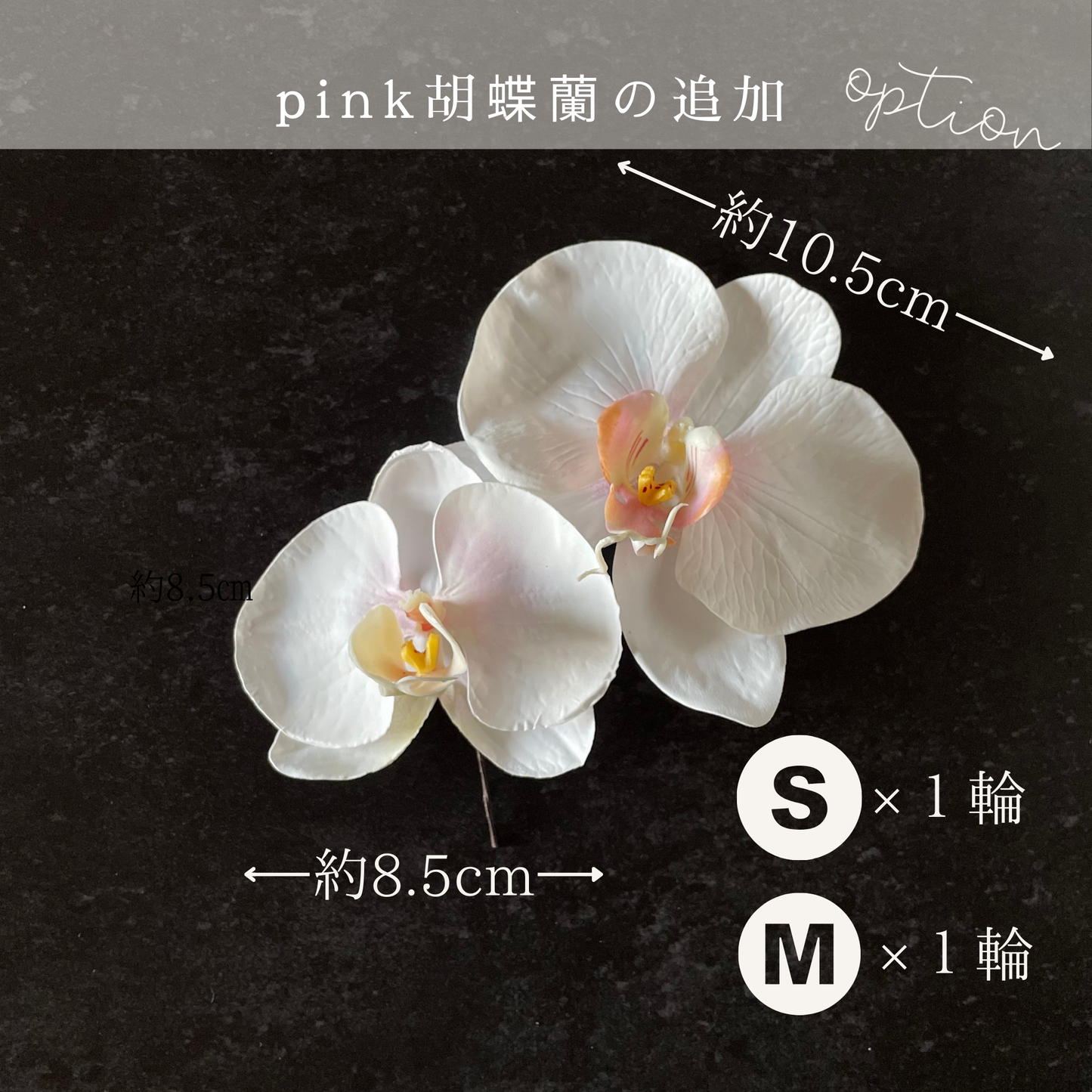 【追加オプション】ピンク胡蝶蘭S 1輪&M1輪