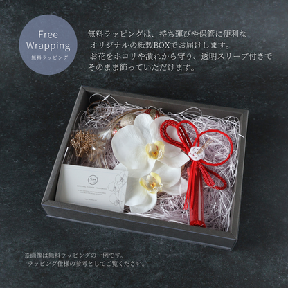 No.117｜胡蝶蘭と梅双葉水引の髪飾り（赤）｜白無垢・色打掛・結婚式に