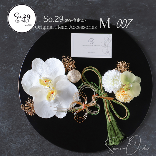 【M-007】セミオーダー専用