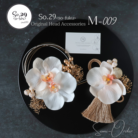 【M-009】セミオーダー専用