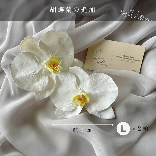 【追加オプション】胡蝶蘭L 2輪