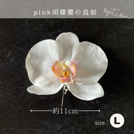 【追加オプション】ピンク胡蝶蘭L １輪