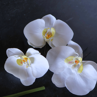 【S-62】オーダー専用