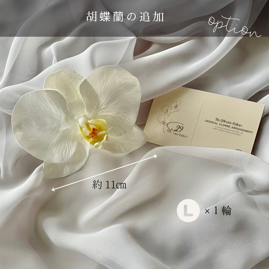 【追加オプション】胡蝶蘭L 1輪
