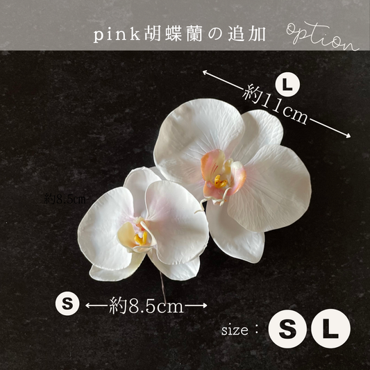 【追加オプション】ピンク胡蝶蘭S 1輪＆L１輪