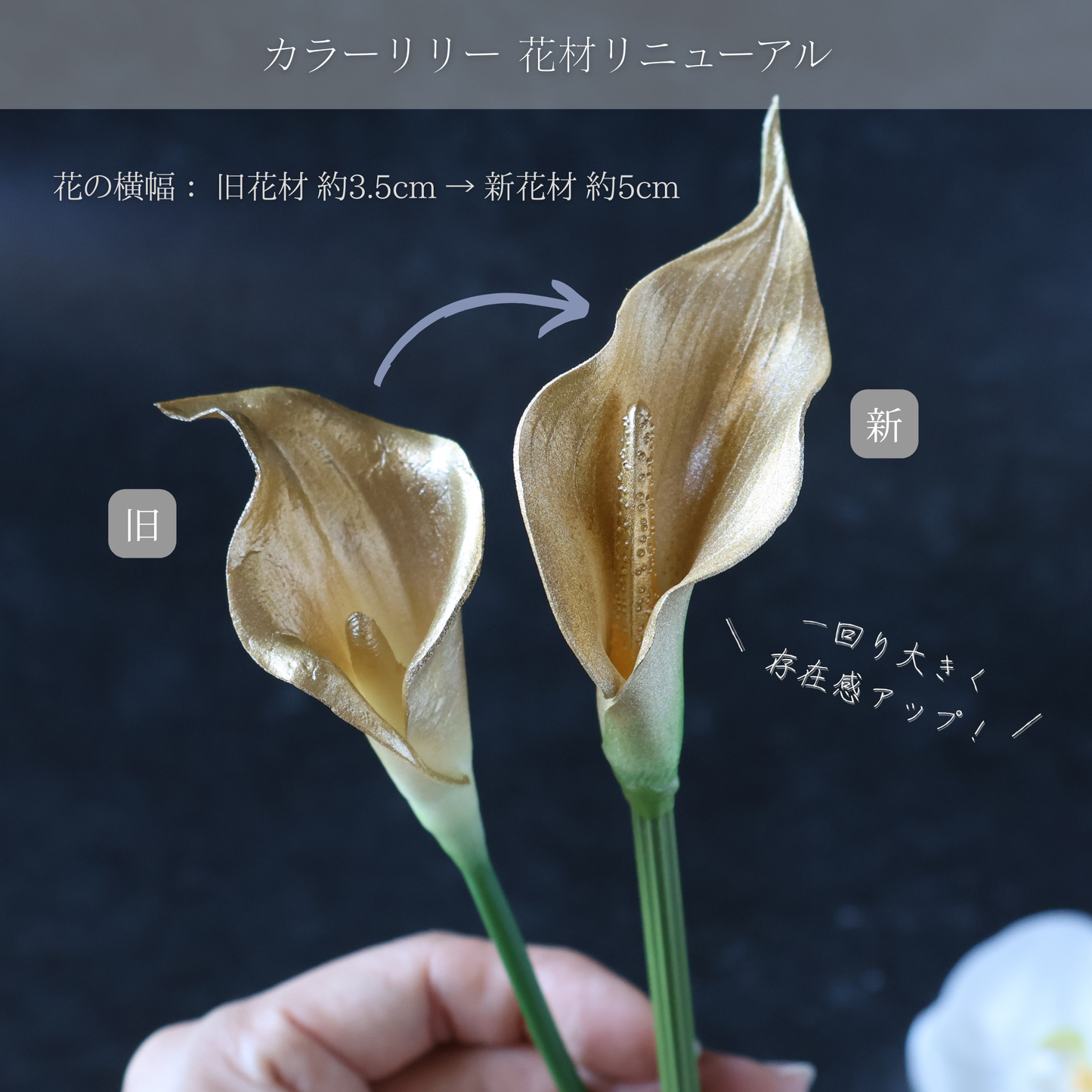 No.187｜黒ダリアとカラーリリーの髪飾り （黒×金）｜白無垢・色打掛・結婚式に