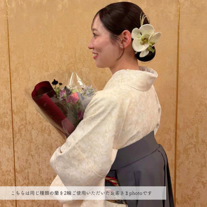 No.244｜胡蝶蘭の髪飾り（グリーン）｜白無垢・色打掛・結婚式に