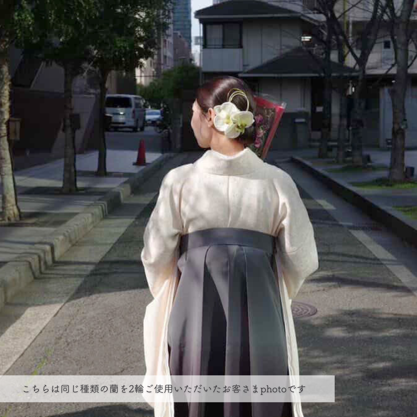 No.244｜胡蝶蘭の髪飾り（グリーン）｜白無垢・色打掛・結婚式に