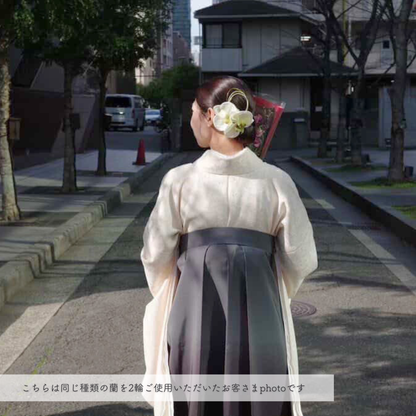 No.244｜胡蝶蘭の髪飾り（グリーン）｜白無垢・色打掛・結婚式に