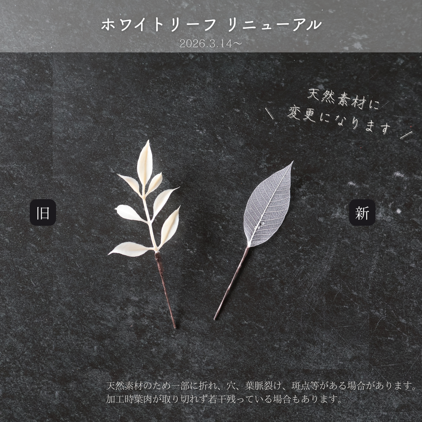 No.230｜カラーリリーと胡蝶蘭の髪飾り（白）｜白無垢・色打掛・結婚式に