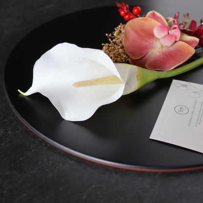 【S-61】オーダー専用