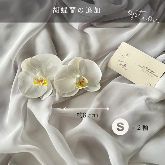 【追加オプション】胡蝶蘭Ｓ 2輪