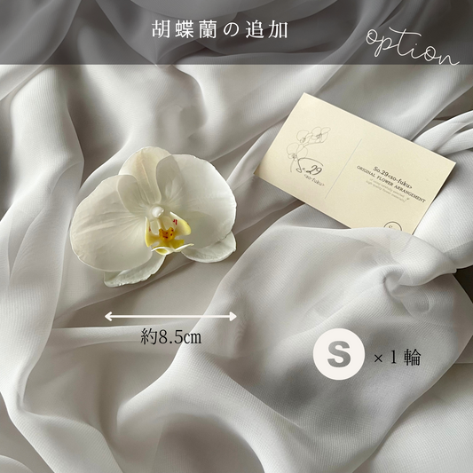【追加オプション】胡蝶蘭Ｓ 1輪
