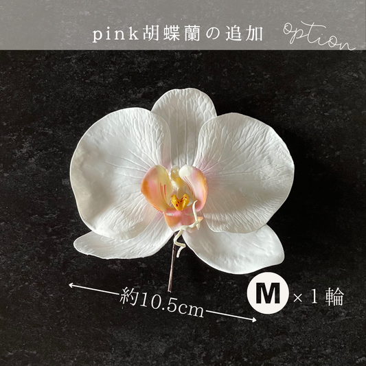 【追加オプション】ピンク胡蝶蘭M １輪